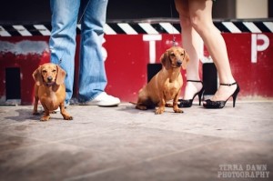 Terra Dawn Photography