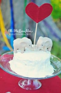 vintage circus carnival theme wedding stylde shoot (3)