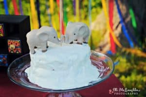 vintage circus carnival theme wedding stylde shoot (7)