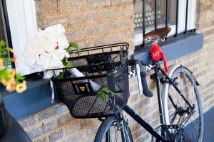 offbeat washington dc surprise wedding food trucks vintage handmade local low-budget (6)