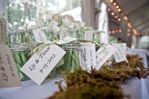 green nature inspired modern maryland wedding tent stones ferns (18)