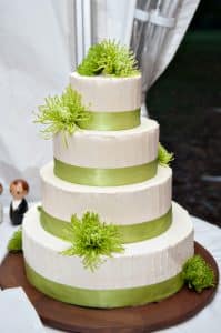 green nature inspired modern maryland wedding tent stones ferns (22)