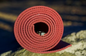 maryland engagement session sugarloaf mountain winery pictures (9)