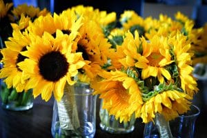 summer garden outdoor northern virginia alexandria wedding venue sunflowers (2)