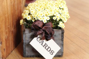 eclectic upcycled green maryland wedding DIY offbeat blog (26)