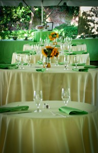 summer garden outdoor northern virginia alexandria wedding venue sunflowers (19)