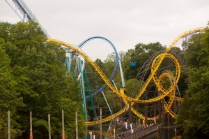 busch gardens amusement park engagement pictures virginia (3)
