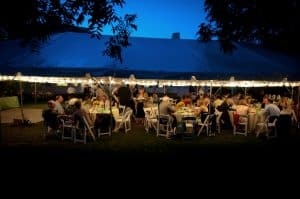 summer garden outdoor northern virginia alexandria wedding venue sunflowers (24)