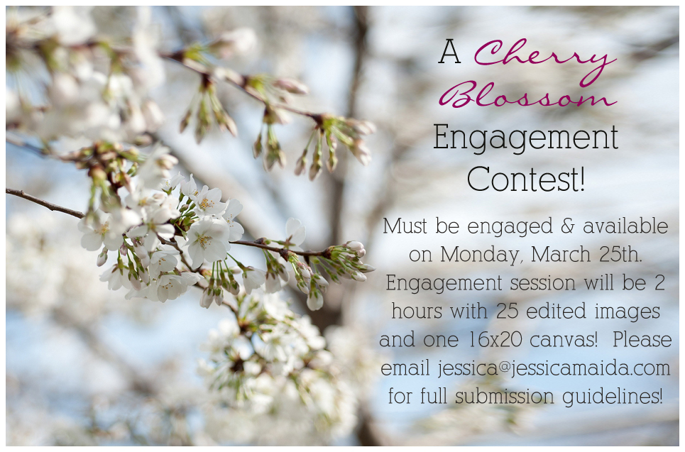 cherry blossom engagement session giveaway
