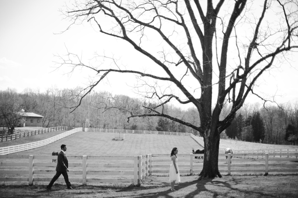 farm first look wedding