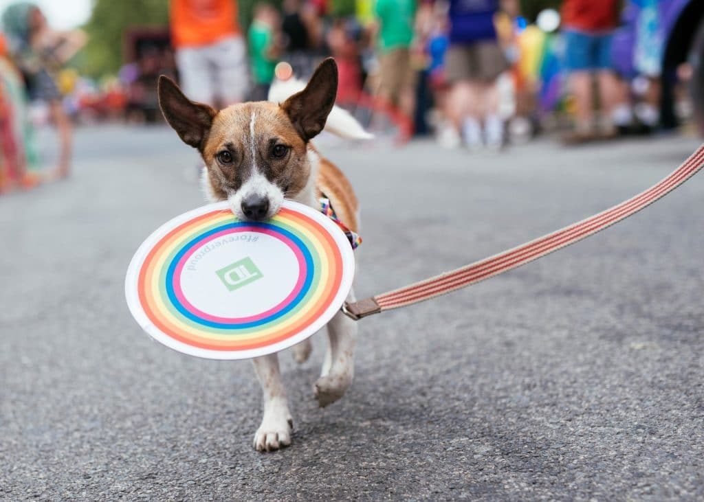 MaggieGaudaen-Pride2015-MJW_7486