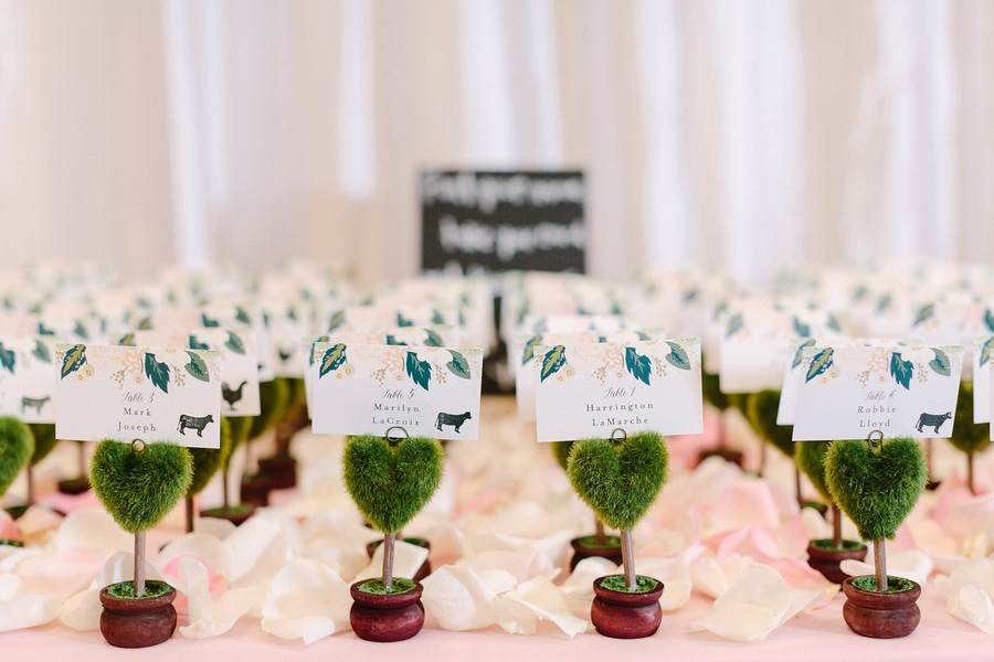 teal pink spring wedding pictures Virginia Meadowlark Botanical Gardens wedding (5)
