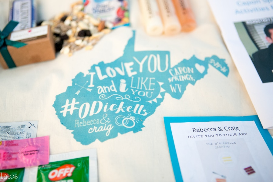 fun stylish tv-themed parks and rec virginia camp wedding37